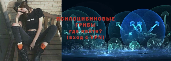 винт Новодвинск