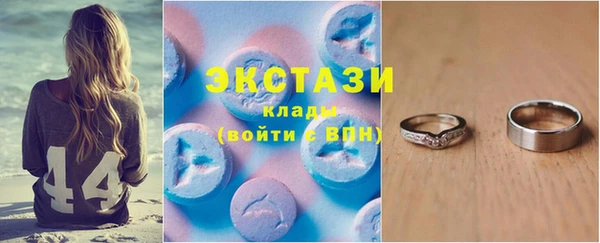 гашик Няндома