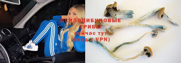 эйфоретик Новозыбков
