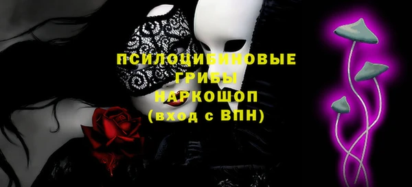 гашик Няндома