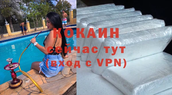 гашик Няндома