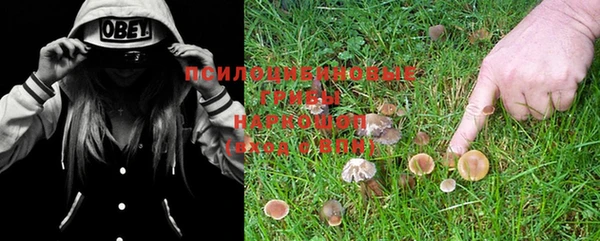 винт Новодвинск