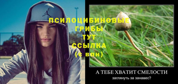 винт Новодвинск