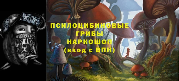 гашик Няндома