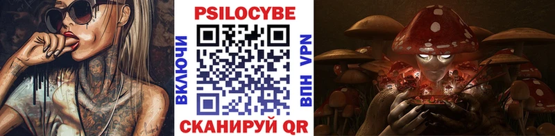 Псилоцибиновые грибы Magic Shrooms  Купить где  Апатиты 